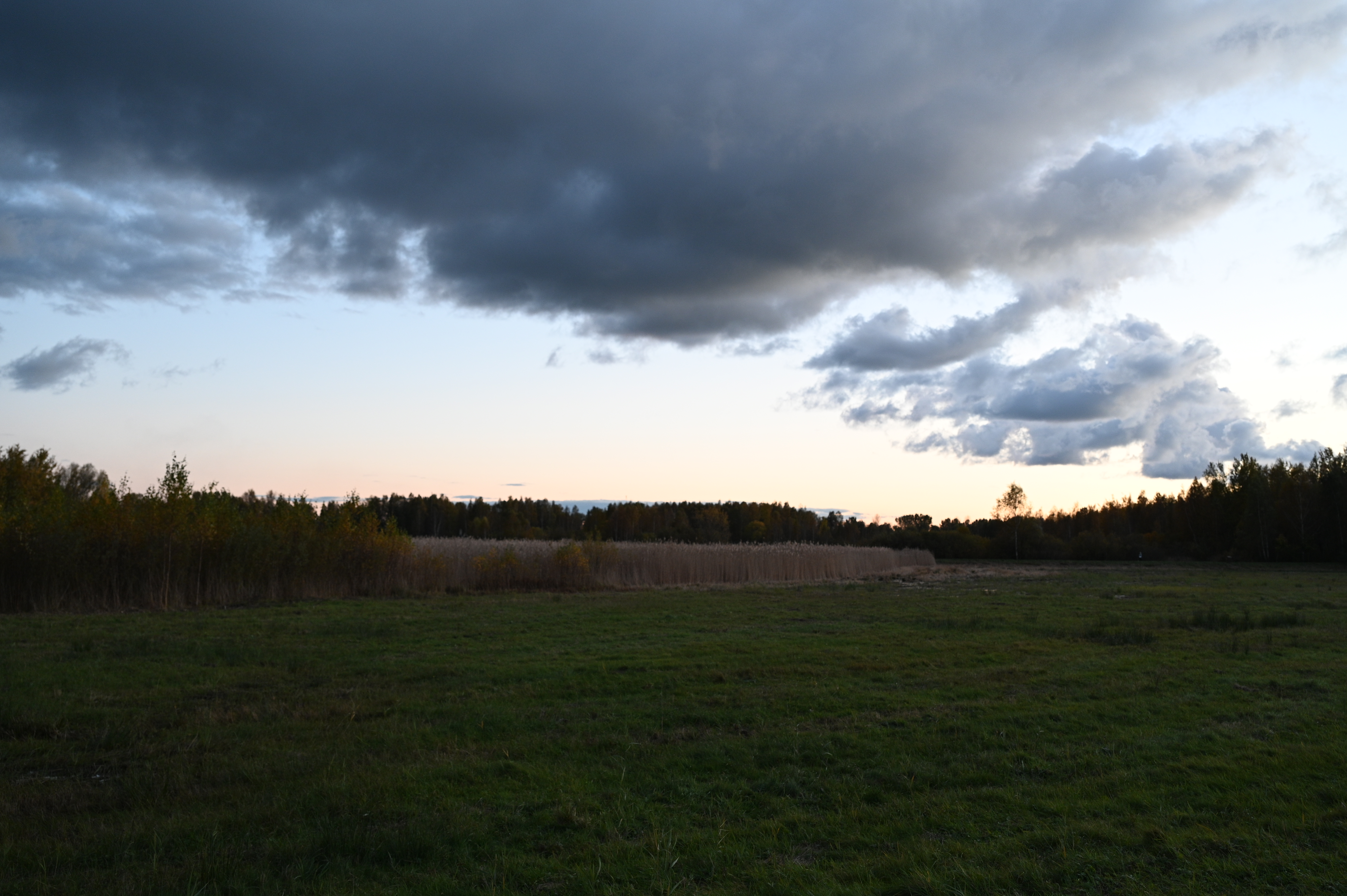 2025/10/18 - walk/DSC_0579.JPG